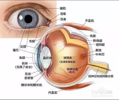 国庆小科普 | 交通灯为什么用红绿黄？