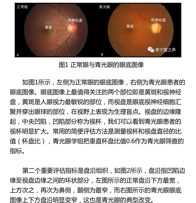 王宁利团队人工智能
